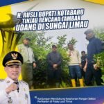 Bupati Kotabaru Tinjau Lokasi Cluster Percontohan Budidaya Udang di Desa Sungai Limau