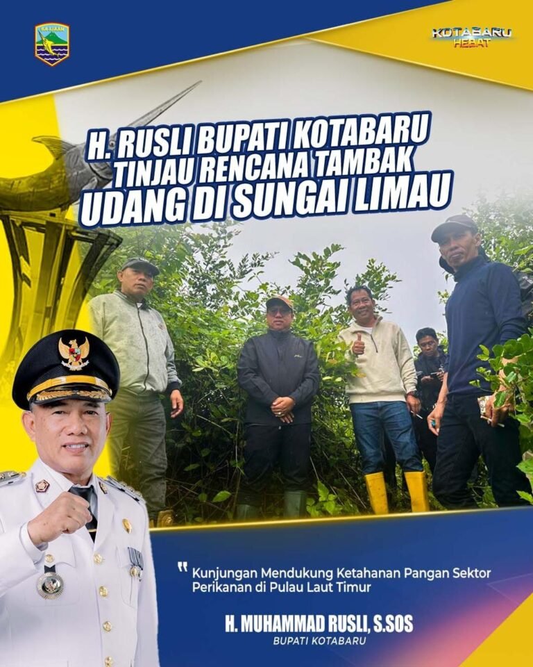 Bupati Kotabaru Tinjau Lokasi Cluster Percontohan Budidaya Udang di Desa Sungai Limau