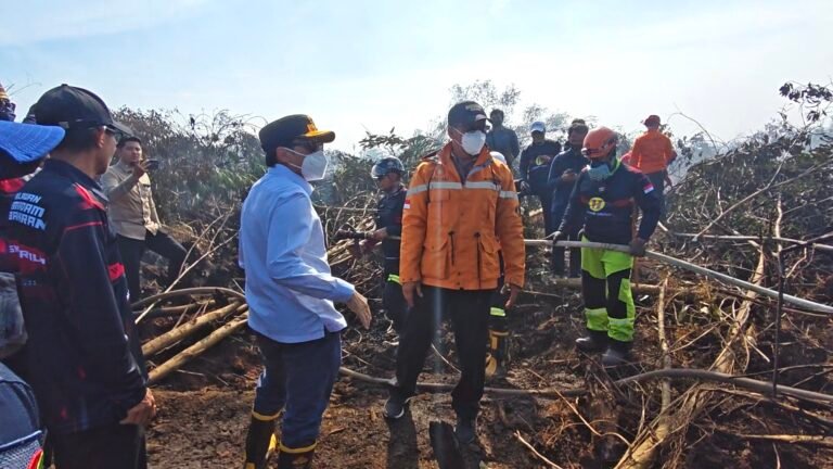 Tinjau Posko Karhutla Guntung Damar, Wakil Gubernur Kalsel Hasnuryadi Sulaiman Serahkan Bantuan Pompa Air Hasnur Group